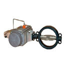 EPDM Lining Air Operated Butterfly Valve Accurate Metal Material DIN Version