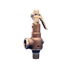 Steam Boilers Pressure Reducing Valve / Safety Pressure Relief Valve Threaded NPT Connections
