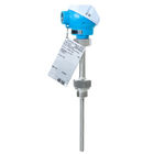 E+H thermometers temperature measurement TM101 basic sensor instrument el measurement
