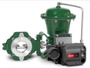 Fisher easy e EZ Control Valve in chemical or hydrocarbon processing applications and material in Carbon Steel, Stainles