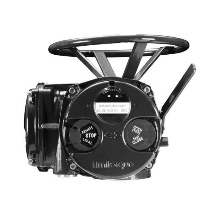 Limitorque QX Electric Actuator For Valves Work With Fisher EZ Valve Body