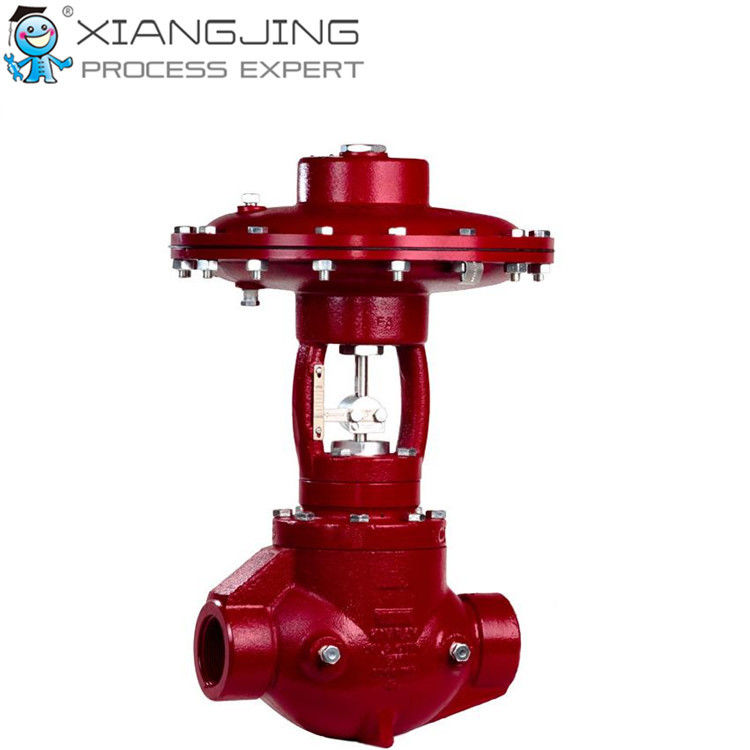 Female NPT Cage Guided Control Valve , Balanced Air Pressure Control Valve