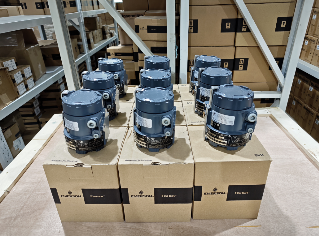 FISHER 846 Electric Remote Mount Actuator with DVC6200 Positioner