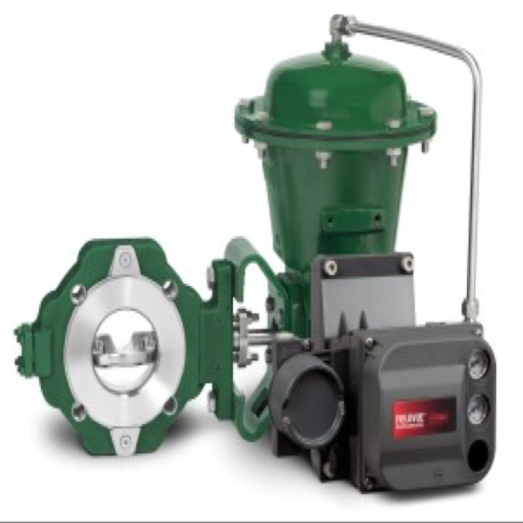 EasyE EZ Control Valve Of Valve Body For Throttling Or On/Off Control