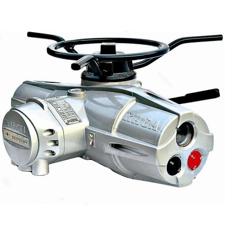 Electric Actuator China RQMⅢ Series Provide Linear Or Rotational Motion