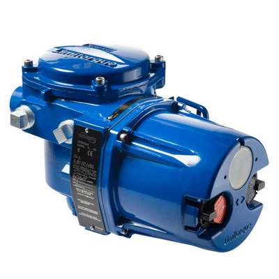 Limitorque QX Electric Actuator For Valves Work With Fisher EZ Valve Body
