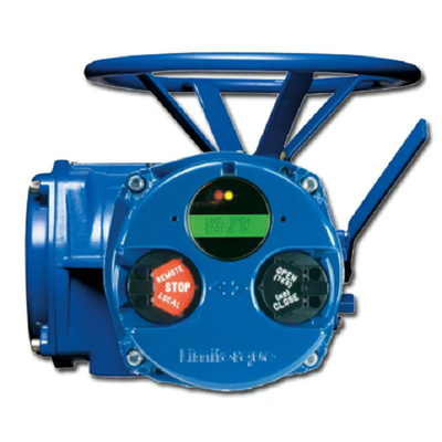 Limitorque QX Electric Actuator For Valves Work With Fisher EZ Valve Body