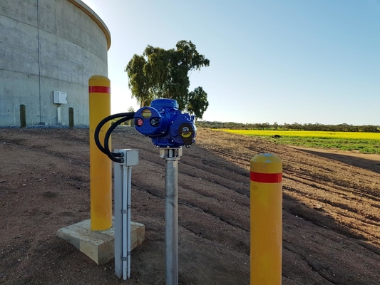 Limitorque MX - 100 MX - 85 MX - QX Electric Actuator Work With Flowserve Valve