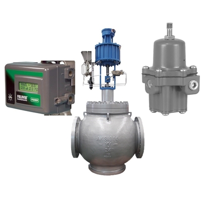 Flow Control Valve With Fish-Er DVC2000 Valve Positioner And 67CFR Filter Regulator