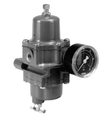 Pneumatic Control Valve With 67CFR Filter Regulator And Fish-Er DVC2000 Valve Positoner