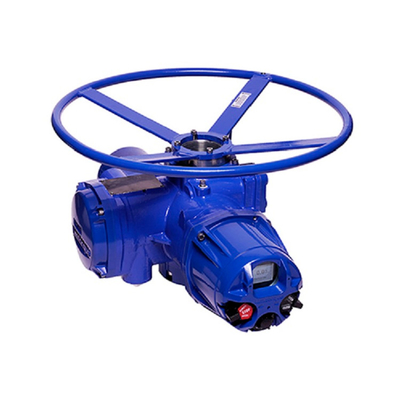 Limitorque - QX Electric Actuator Work With Chinese Control Valve