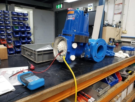 Limitorque - QX Electric Actuator Work With Chinese Control Valve