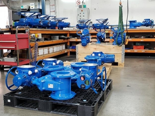 Limitorque - QX Electric Actuator Work With Chinese Control Valve