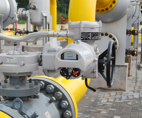ROTORK Electric Actuator IQ With Chinese Wuzhong Valve And Flowserve Ball Valves