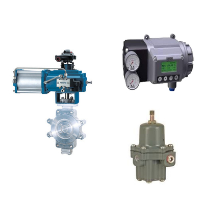 Chinese Control Valve With Masoneilan SVI3 Digital Valve Positioner And Fisher 67CFR Filter Regulator