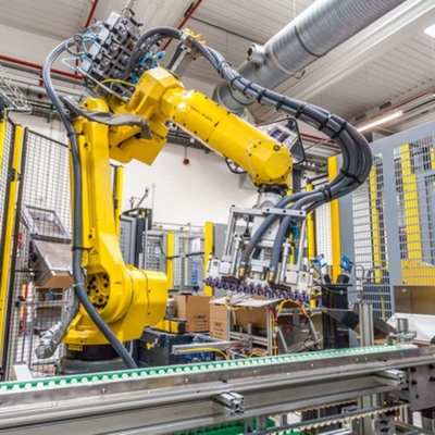 Palletizing 6 Axis Robotic Arm With Industrial Robot Controller Of M-20iA For