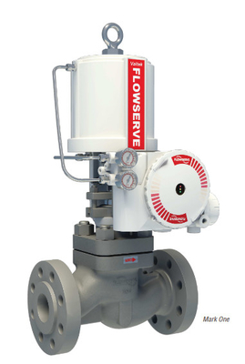 Pressure Reducing &amp; Desuperheating Station With Flowserve Valtek VR Actuator And 3200MD Valve Positioner