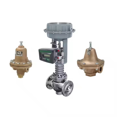 Digital control valve positioner Fisher DVC2000 and Filter pressure reducing valve