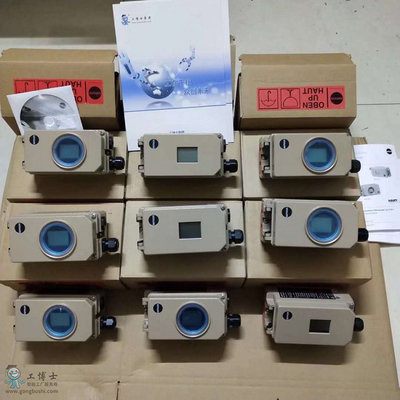 Samson 3767 positioner with Samson3241 valve and 3271 pneumatic actuator SMC AW20 filter pressure reducing valve