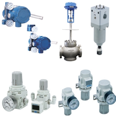 Throttling Control Valve Positioner With Temperature Mounting