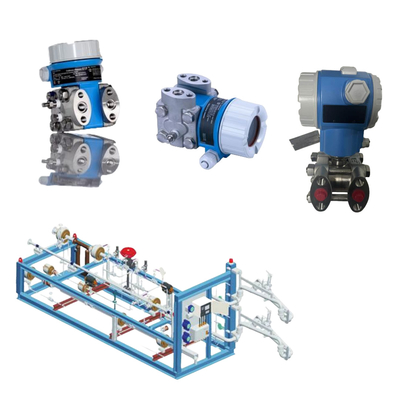 Chinese Skid- Mount  Endress+Hauser  Differential Pressure Transmitter Deltabar PMD55