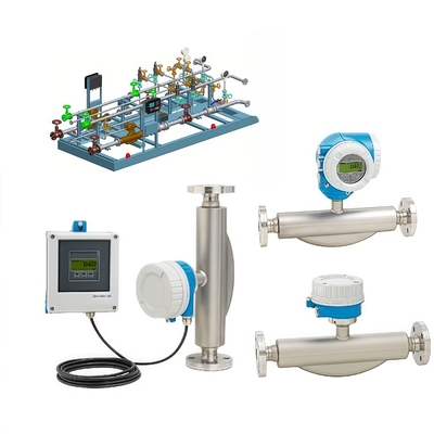 High Precision E+H F 300 F 500 Coriolis Mass Flowmeter Price Endress+Hauser Coriolis Liquid Flow Meters for Process Control