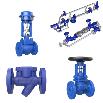 Steam Trap Station Heat Recovery Skid Customized Balanced Pressure Steam Trap Pressure Reducing Valve Control Valve