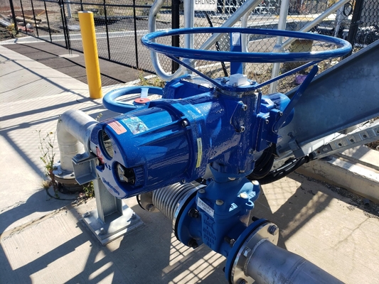 Flowserve Limitorque Electric Valve Actuator MX QX Series Customized China Multi-turn Quarter-turn Industrial Valve Flow Control