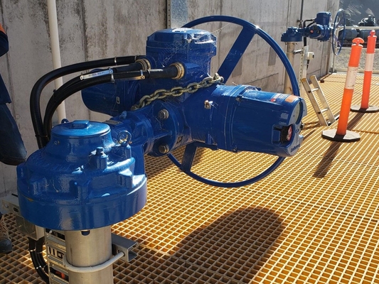 Chinese Electric Air Pressure Flow Control Valve Factory Customized Flowserve Limitoque MX QX Smart Electric Valve Actuator