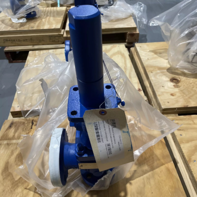 Chinese Fuel Gas Skid-Mounted Emerson Crosby H Series Direct Spring Safety Valves Stainless Steel Safety Relief Valve