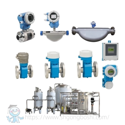 Sanitary Flowmeter E+H Proline Promag P 300 P 500 Endress Hauser Food Grade Electromagnetic Flow Meter