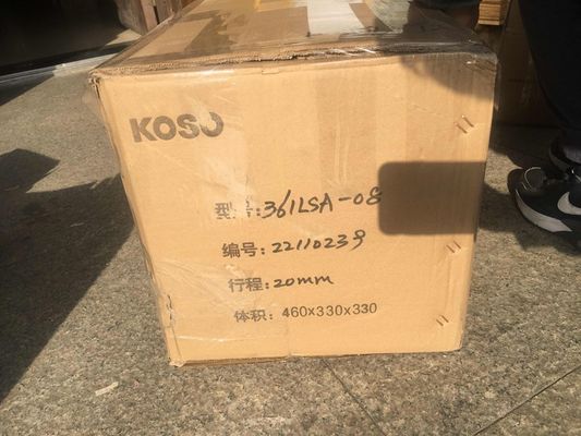 Chinese Control Valve With KOSO 3610 Valve Actuator