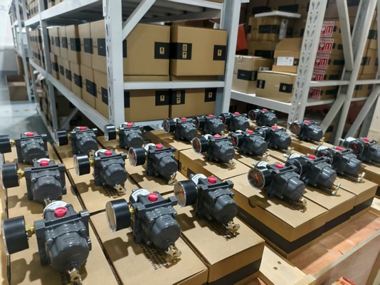 Fisher 67C Series Filter Regulator with DVC2000 Digital Valve Controller
