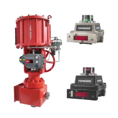 TopWorx TXP-M2CGNPM NAMUR Valve Limit Switch Flame Proof