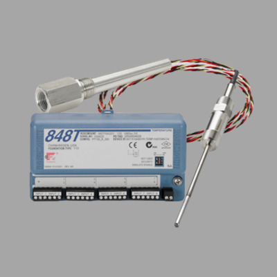 Rosemount 848T Temperature Transmitter with 214 RTD Sensor -196 to 425°C