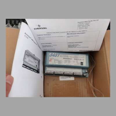 Rosemount 848T Temperature Transmitter with 214 RTD Sensor -196 to 425°C