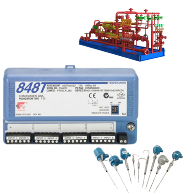 Rosemount 848T Temperature Transmitter with 214 RTD Sensor -196 to 425°C