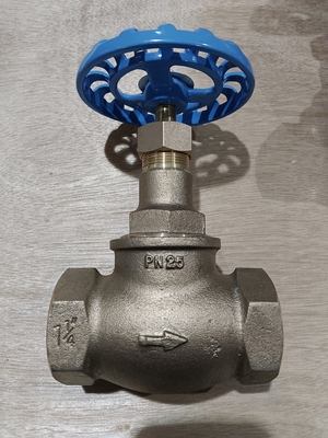 DN32 PN25 Safety Compliance Spiraxsarco Stop Valve HV3 and BSA2T for Supplying Air Oil and Gas Media