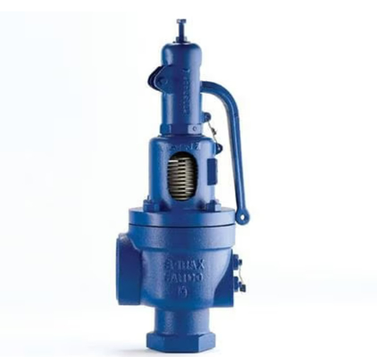 The Ultimate Solution Gas Oven Safety Valves Spiraxsarco SV607DS and Burkert Solenoid