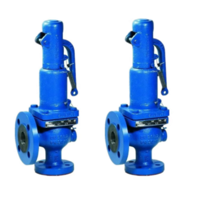 ASMEl And VIII Safety Valves Customized Support for High Temperature Applications Spiraxsarco Safety Valve SV607/SV604