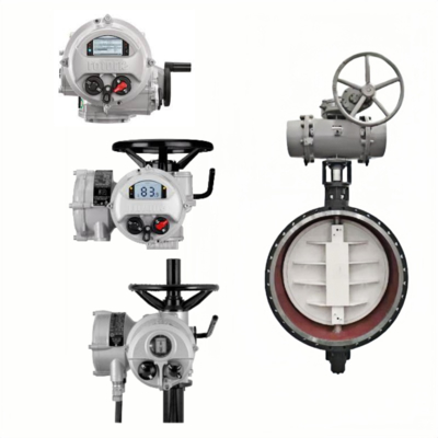 ROTORK Electric Actuator the IQ Range IQ10 IQ20 IQ35 IQ40 IQ70 IQ90 IQ95 IQ12 IQ25 IQ18