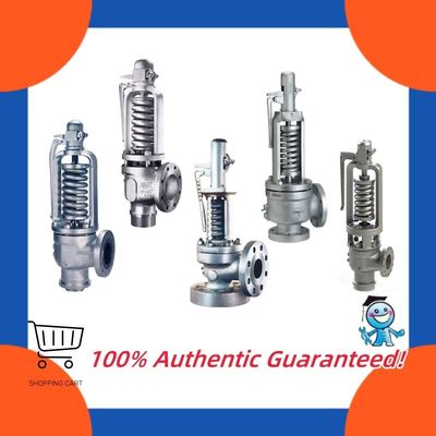 Boiler Pressure Vessel Pressure Relief Valve Crosby HE HCI HSJ HSL HCA Direct Spring Safety Relief Valves  