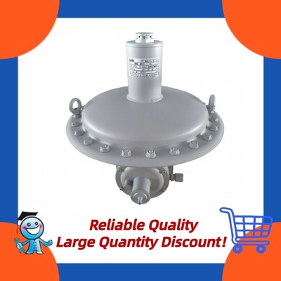 Itron RB1700 RB1800 Series Industrial Regulator LPG First Stage Pressure Regulation Pressure Regulator Valve