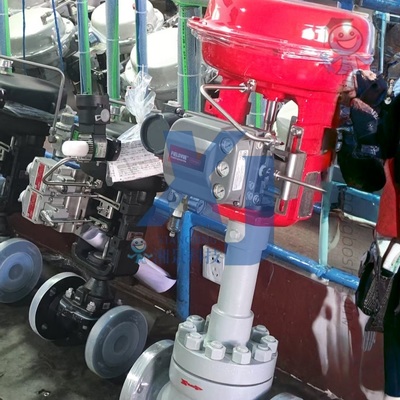 Pneumatic Valve Positioner Automatic EAC Certified Control Valve and Emerson Fisher DVC6200 Smart Valve Positioners 