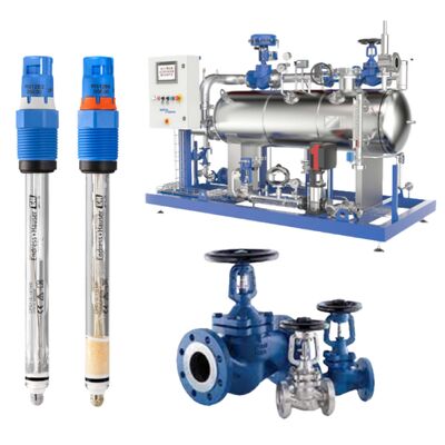 Liquid Analysis Potentiometric Endress Hauser CPS11E-UR7AAA2 and Spiraxarco Bellow Valve BSA2T BSA3T for Water and Wastewater