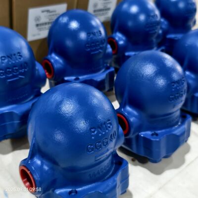 New Screwed Connection SPIRAX SARCO FT14 FTGS14 Ball Float Steam Trap DN25 to DN50 PN16 