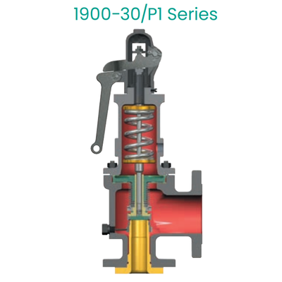 High Capacity Consolidated Type 1900/P Type ASME Certified Spring Loaded Safety Relief Valve for Boiler & Pressure Vessel