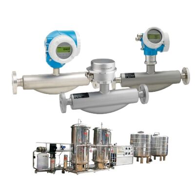 High Accuracy Endress Hauser Coriolis Flow Meter Promass F 100 F 200 Coriolis Mass Flowmeter for Liquid and Gas