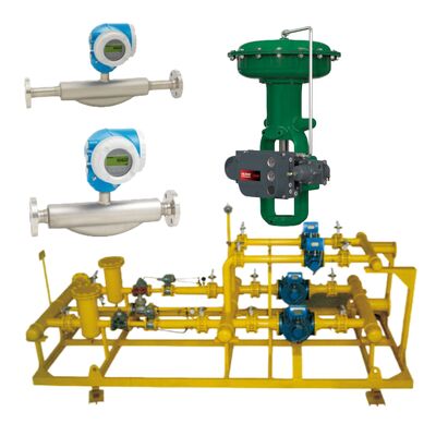 Promass F300 Coriolis Mass Flowmeter for Petrochemical Food Pharmaceutical Process Control