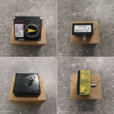 Chinese Valve Flowserve PMV P5 EP5 Valve Positioner F5 Switch Box and Neles B1 Pneumatic Cylinder Actuator Stock Supplier